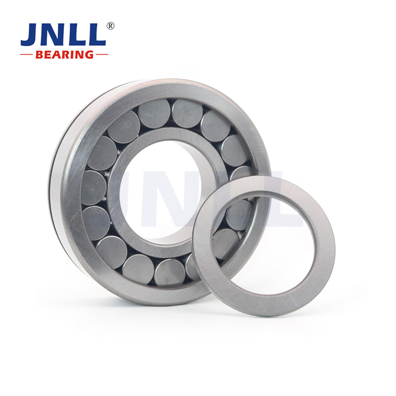 192310 Cylindrical roller bearing 